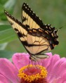 /album/fotogaleria-priroda/a62f62416f2-23081897-o2-jpg/