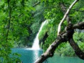 /album/fotogaleria-priroda/a6219fd50b0-21526389-o2-jpg/