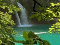 /album/fotogaleria-priroda/a077597dc85-21526333-o2-jpg/