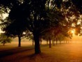 /album/fotogaleria-priroda/atardecer-en-el-parque-jpg/