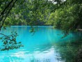 /album/fotogaleria-priroda/d5fa3ad51d-21526306-o2-jpg/