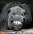 /album/fotogaleria-fotogaleria/zvieratka-zvieratka-zvieratka60-4-jpg/